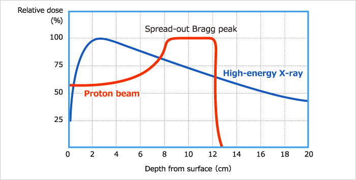 Dose distribution of different types of radiation