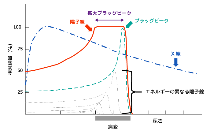 各種放射線の線量分布グラフ